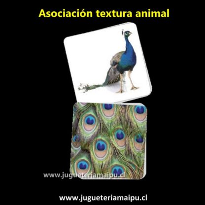 Asociación textura animal - Imagen 2