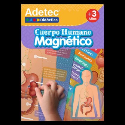 cuerpo humano