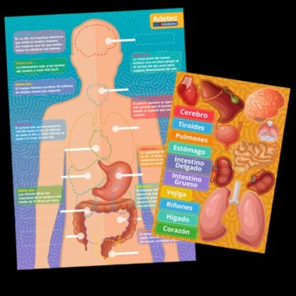 Magnético Cuerpo Humano - Imagen 2